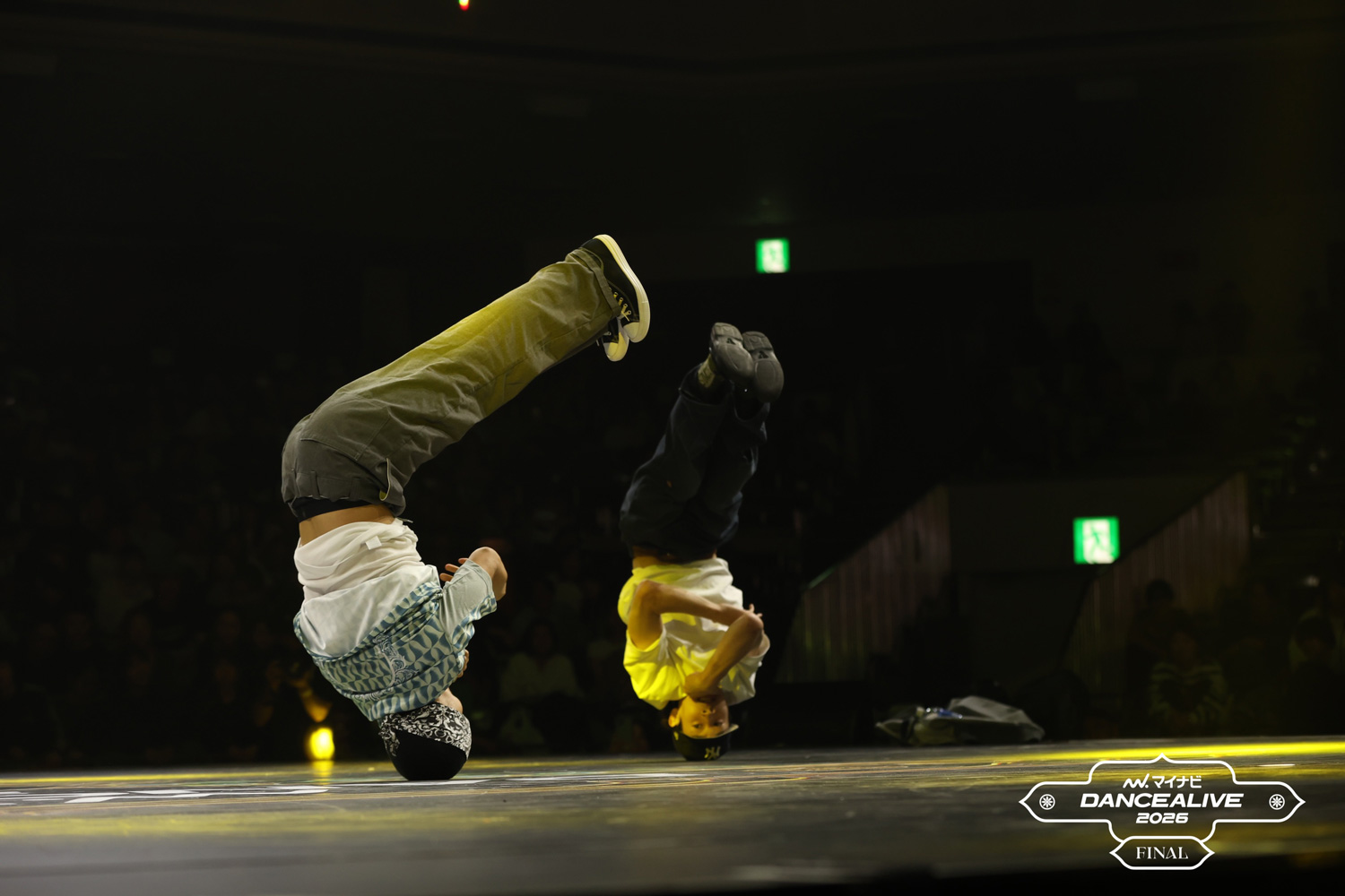 GALLERY_28